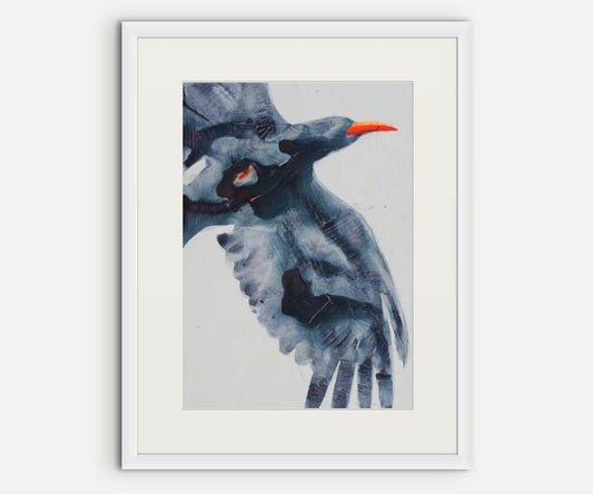 Flying Chough 2