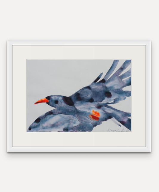 Flying Chough 3