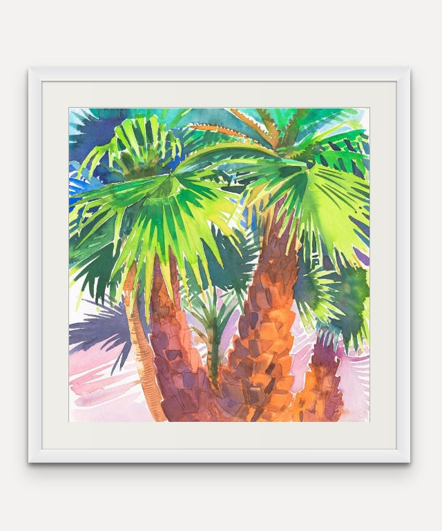 Palm Trees - Andalucia