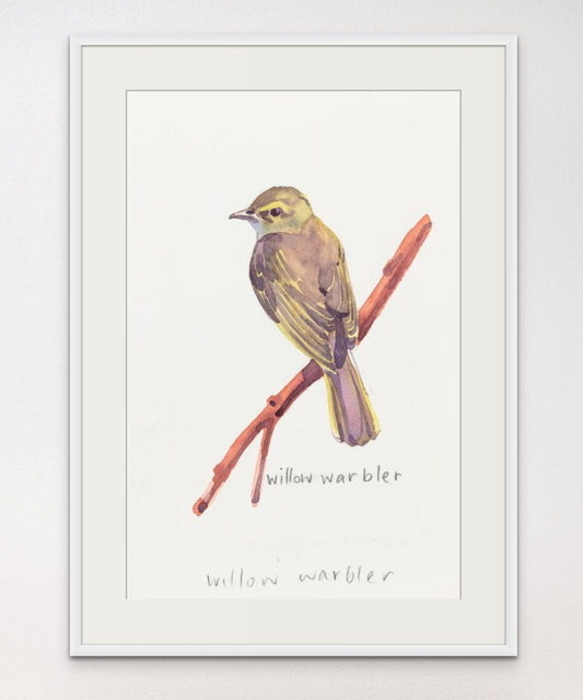 Willow Warbler