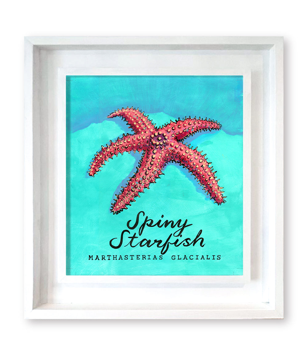 Spiny Starfish Promenade Flag Artwork - Original Painting