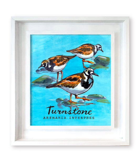 Turnstone Promenade Flag Artwork - Original Painting