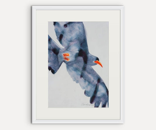 Flying Chough 1   SOLD